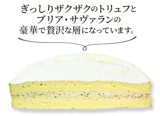 【MOF ロドルフ ムニエ熟成】ブリー・トリュフ