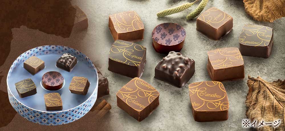 MOF フレデリック アヴェッカー】ショコラアソート プラリネ6粒II