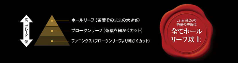 全てホールリーフ以上