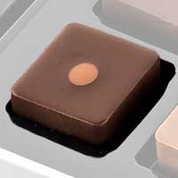 【ぴよ】フィリップベル　カンタンバイィ ぴよ】フィリップベル カンタンバイィ フィリップ・ベル ショコラ