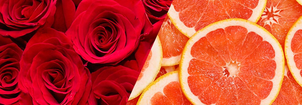 選び抜かれた上質な素材を使用