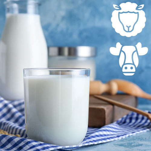 リコッタチーズの特徴