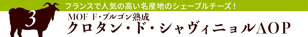 MOF F・ブルゴン熟成 クロタン・ド・シャヴィニョルAOP