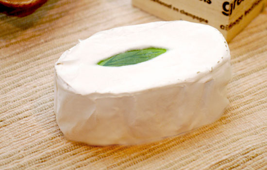 グレ・シャンペノワ