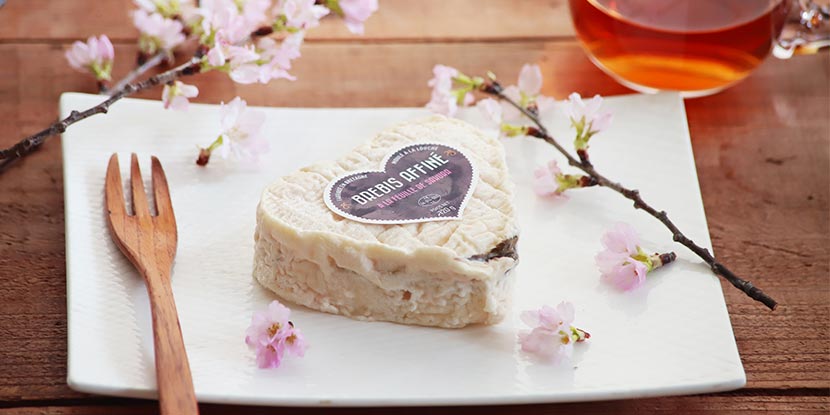 ブルビ・アフィネ・サクラ