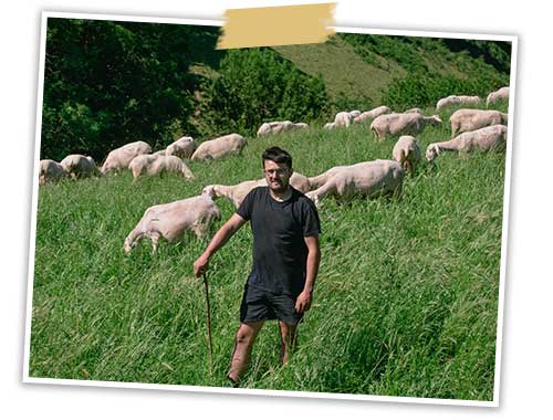 F・ブルゴン熟成 トム・ド・レピーヌ