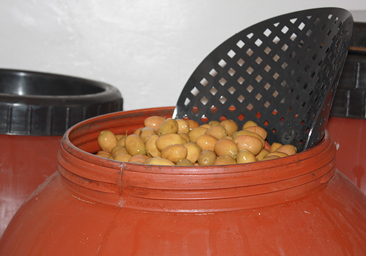 ブラックオリーブ