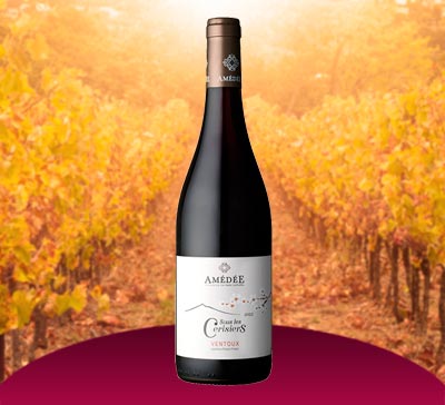 スー・レ・スリジェ 2023