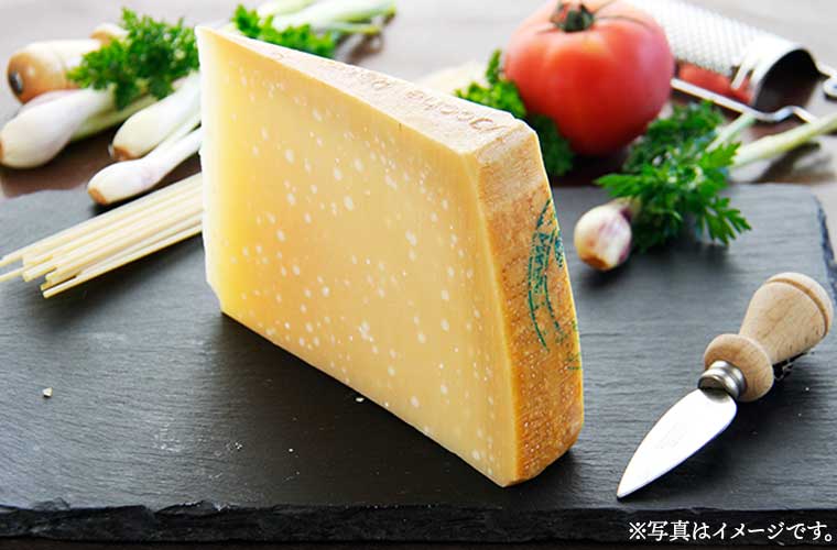 パルミジャーノ・レッジャーノDOP ヴァッケ・ロッセ 45ヶ月熟成