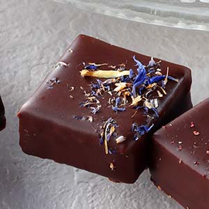 MOF クリスチャン・カンプリニ カシス