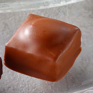 MOF クリスチャン・カンプリニ バニラ・グロセイユ