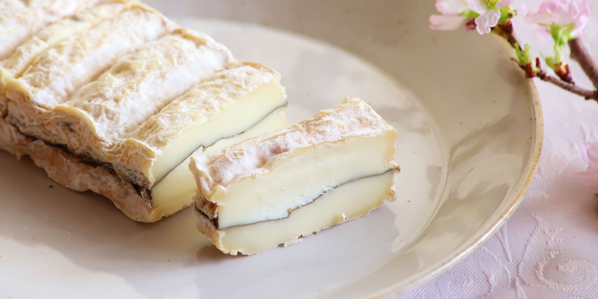 【P アレオス熟成】シェーブル・ブリケット桜の葉