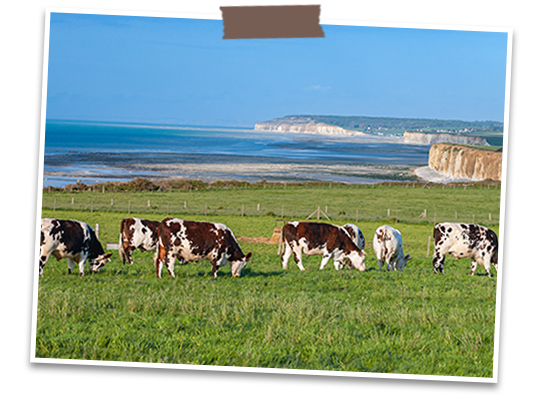 ノルマンディー地方について