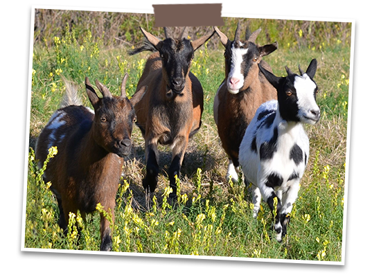 サントル・ヴァル・ド・ロワール地域圏について