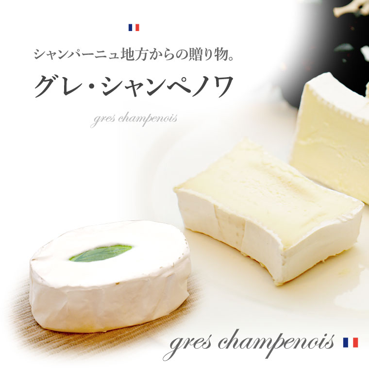 グレ・シャンペノワ 約150g / 世界のチーズ専門店オーダーチーズ