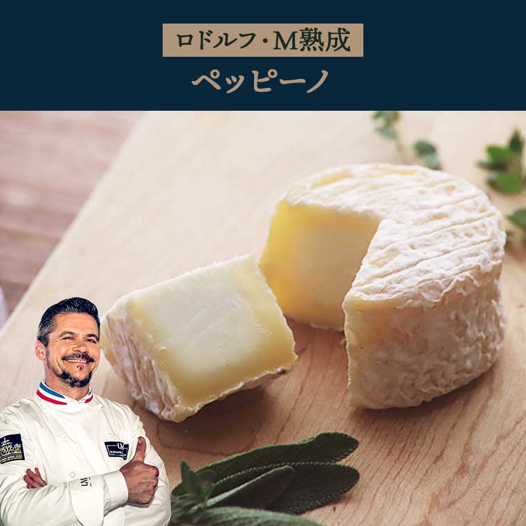 【ラムチョコちーず】 ご家庭用に！】GAKUチョコレートサンド8個（リッチカカオ・ラム