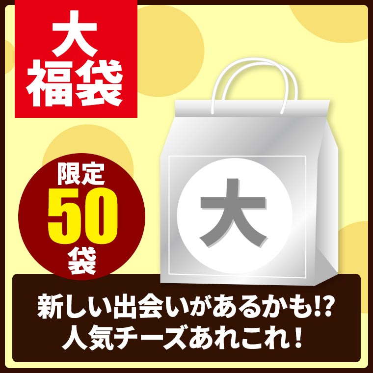 在庫一掃！決算チーズ福袋2026 第1便(3/6出荷) / 世界のチーズ専門店