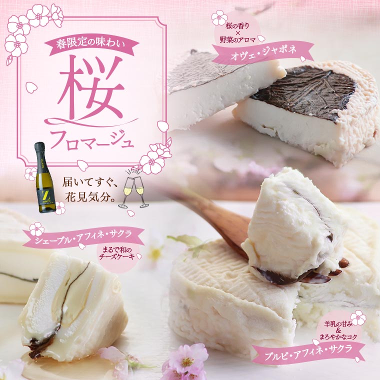 桜フロマージュ