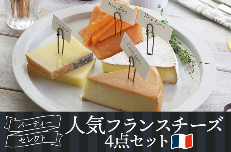 【パーティーセレクト】人気フランスチーズ4点セット