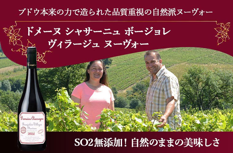★わけありセール★ルドメーヌ　シャサーニュ　 ボージョレ　ヴィラージュ　ヌーヴォー 2023 サン スフル