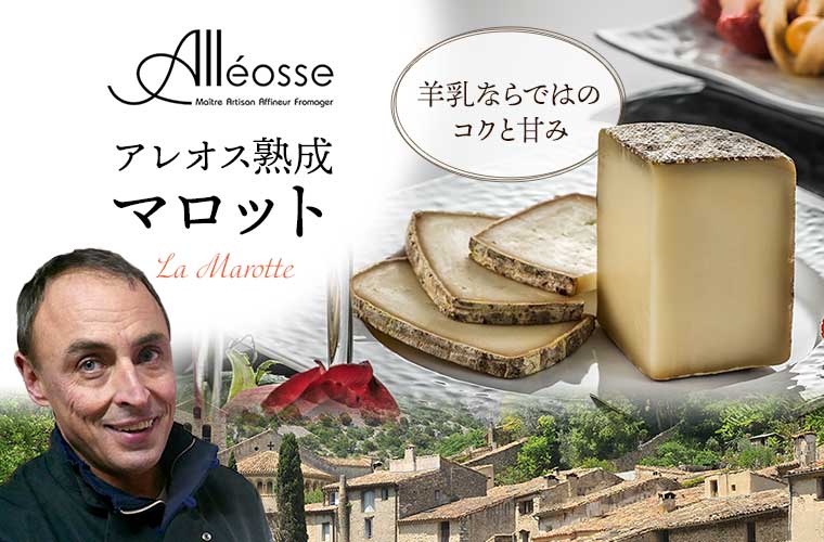 【P アレオス熟成】マロット