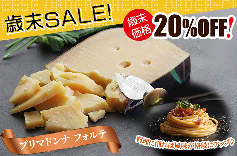 ★歳末セール★プリマドンナフォルテ