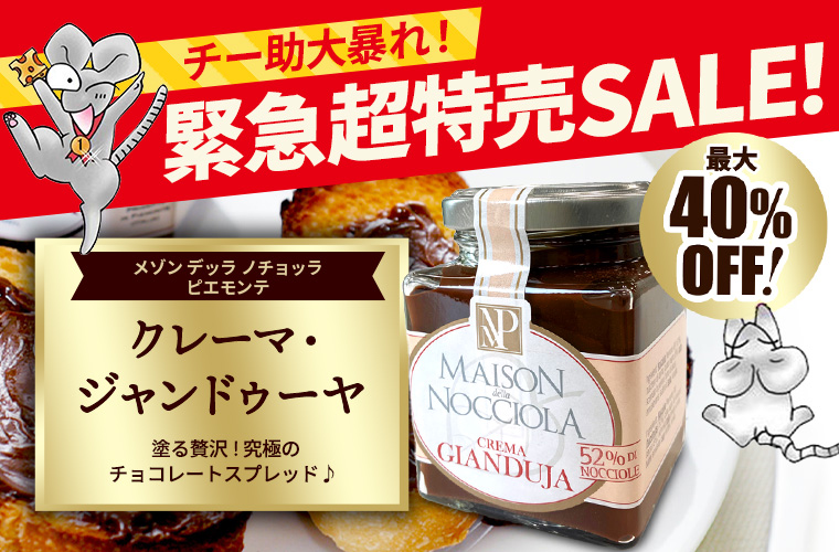 ★緊急セール★【メゾン デッラ ノチョッラ ピエモンテ】 クレーマ ジャンドゥーヤ 約210g