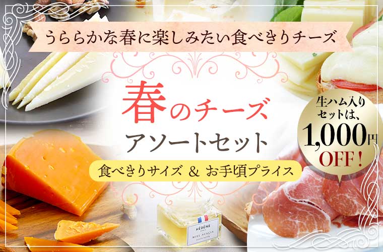 春のチーズアソートセット 2026
