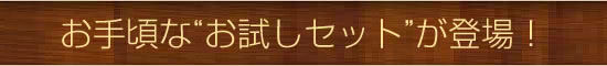 お手頃なお試しセットが登場