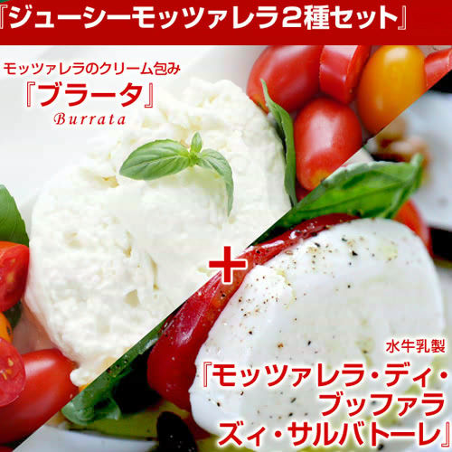 ジューシーモッツァレラ2種セット